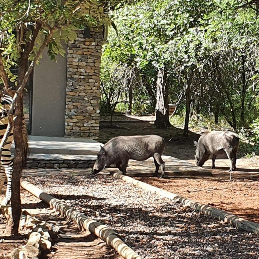 Luvivane Luxury Villa Marloth Park Dış mekan fotoğraf