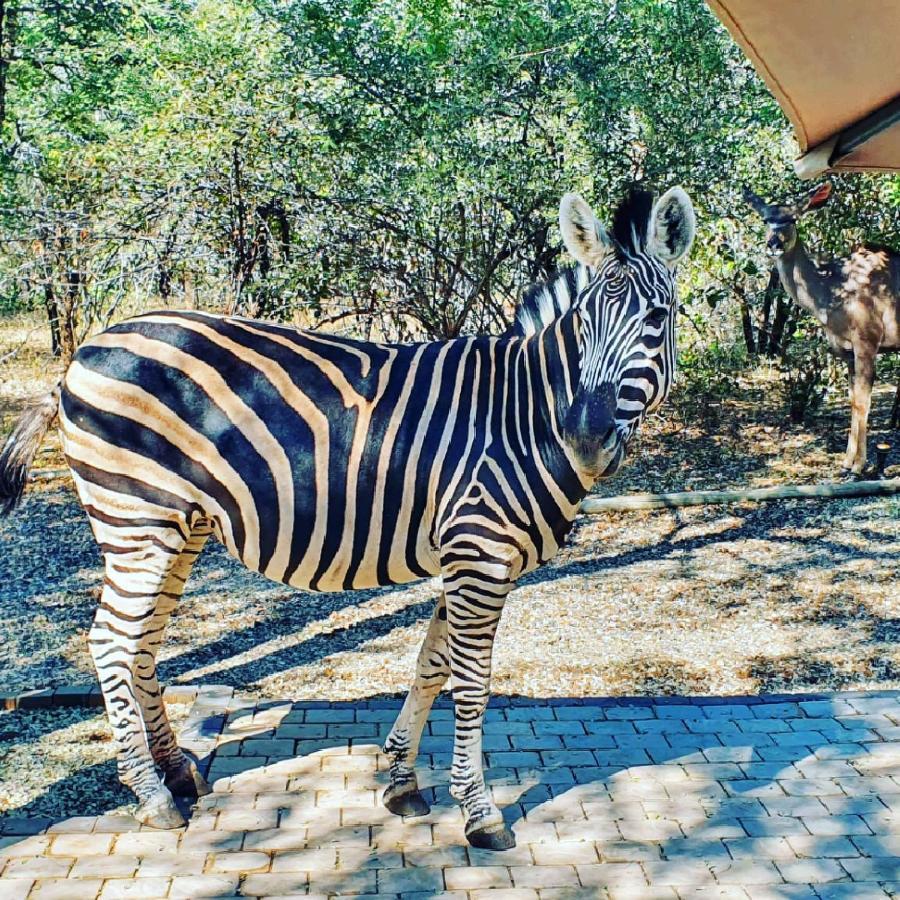 Luvivane Luxury Villa Marloth Park Dış mekan fotoğraf